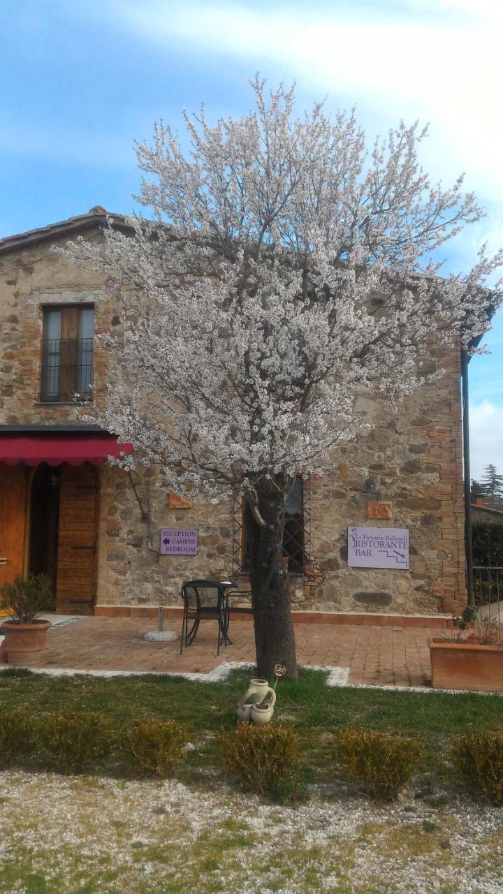 Country House La Fattoria Bellandi 콘티냐노 외부 사진